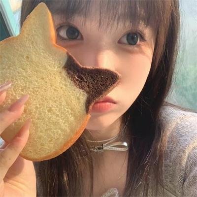 机械危情
